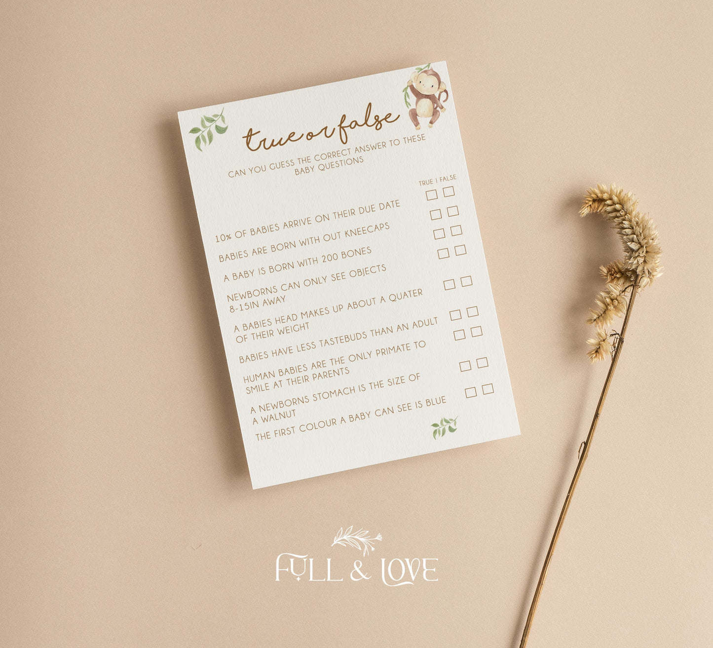 True or False Baby Shower Game - Little Monkey