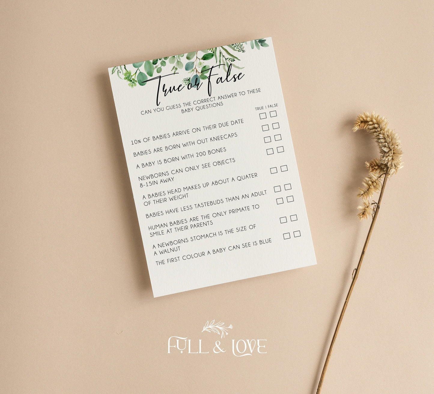 True or False Baby Shower Quiz - Eucalyptus