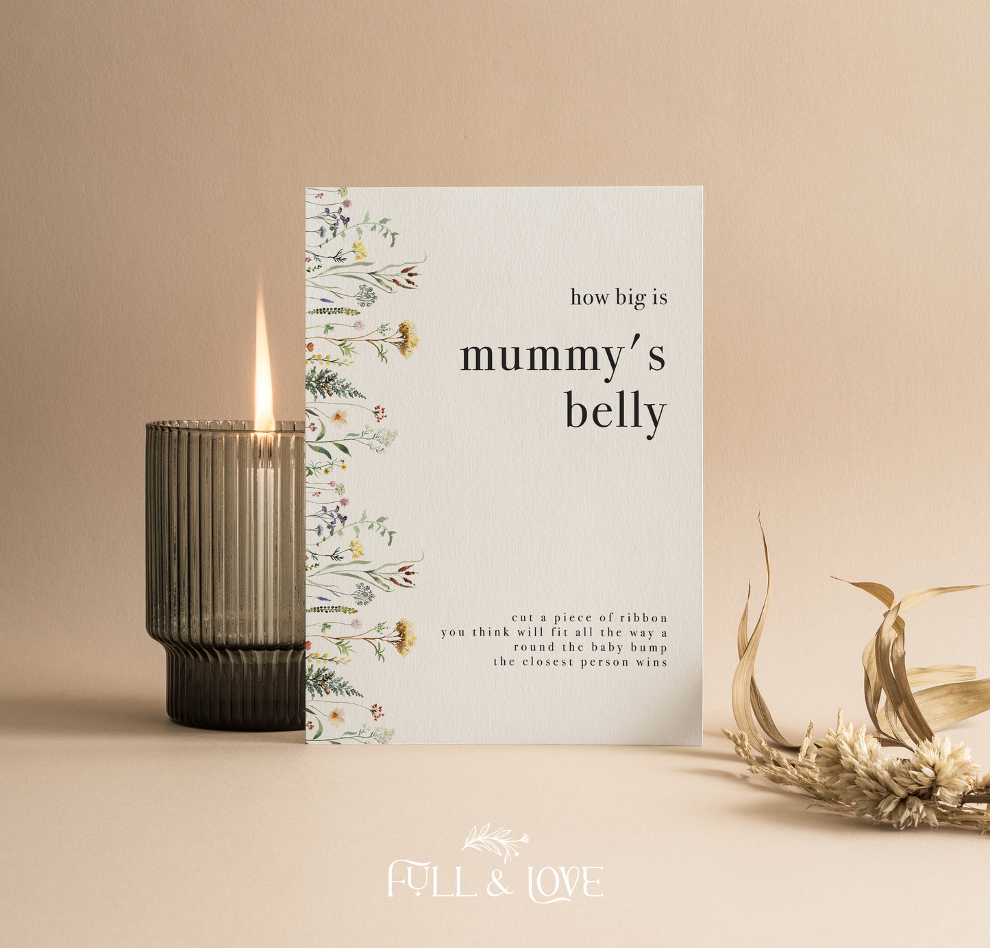 How Big Is Mummy's Belly Game Sign - Baby in Bloom